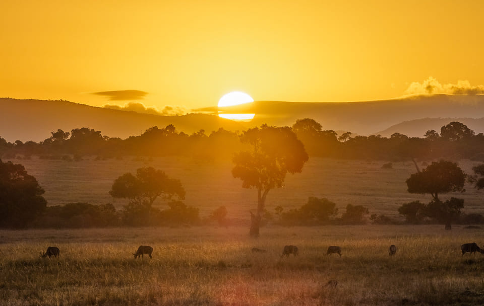 3 days group to maasai mara in 4×4 landcruiser no park fees