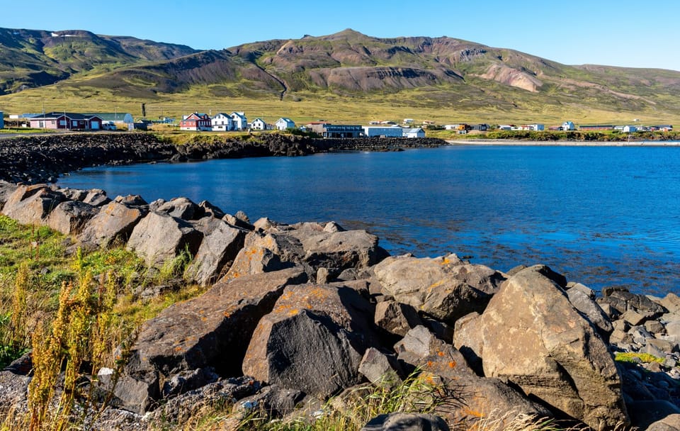 Puffin Watching and Scenic Drive from Seyðisfjörður Port