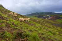 Private Luxury Jeep Tour - Game of Thrones Experience 3