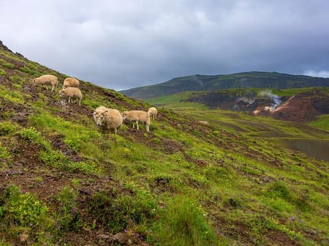 Private Luxury Jeep Tour - Game of Thrones Experience, photo 4