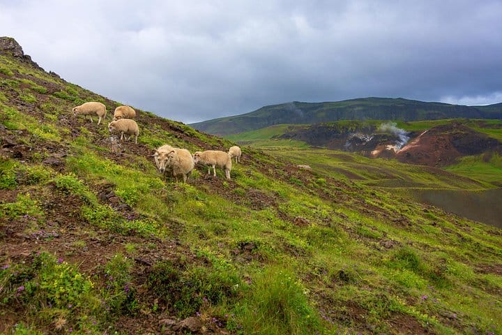 Private Luxury Jeep Tour - Game of Thrones Experience 3