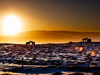 Private Adventure! Northern Wonders: Goðafoss Waterfall, Christmas House and Forest Lagoon Bliss, photo 12