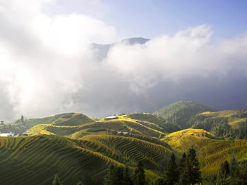 One-Day Longji Rice Terraced Fields and Minority Villages Tour