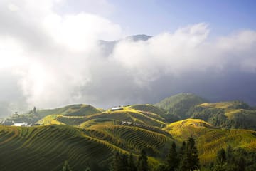 Longji Rice Terraced Fields and Minority Villages Tour