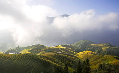 Longji Rice Terraced Fields and Minority Villages Tour