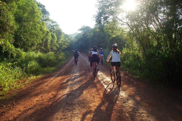 Jungle Wildlife Bike Tour to Iguazu National Park & Jaguar Road