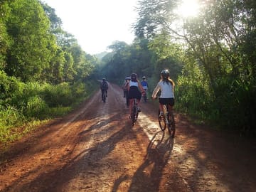 Jungle Wildlife Bike Tour in Iguazu National Park, Argentina