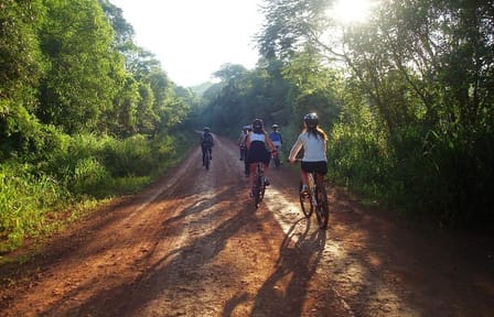 Jungle Wildlife Bike Tour to Iguazu National Park & Jaguar Road