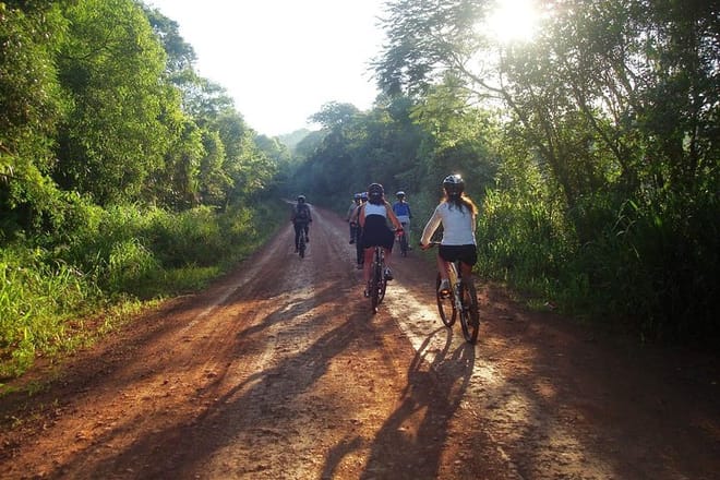 Jungle Wildlife Bike Tour to Iguazu National Park & Jaguar Road 2