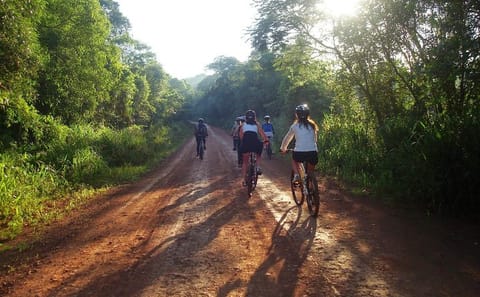 Jungle Wildlife Bike Tour in Iguazu National Park, Argentina