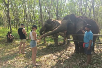From Phuket to Ethical Khaolak Elephant Sanctuary Tour, Walk, and Lunch