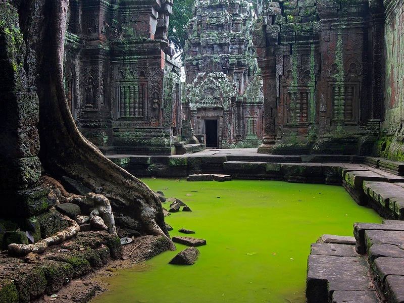 Siem Reap Angkor Complex Tour: Explore Angkor Wat, Bayon & Ta Prohm