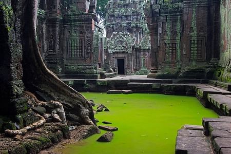 Siem Reap Angkor Complex Tour: Explore Angkor Wat, Bayon & Ta Prohm