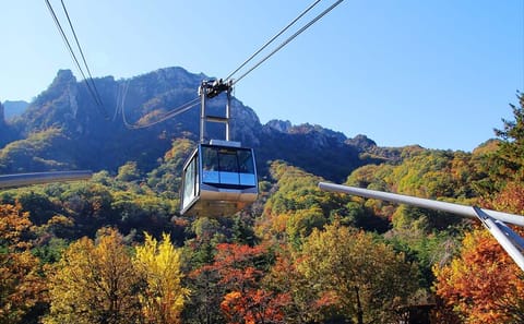 Private Day Tour of Mt. Seorak National Park and Sokcho