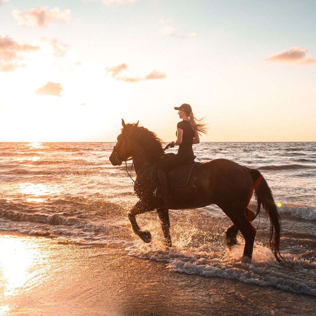 Beach Horse Riding Dubai