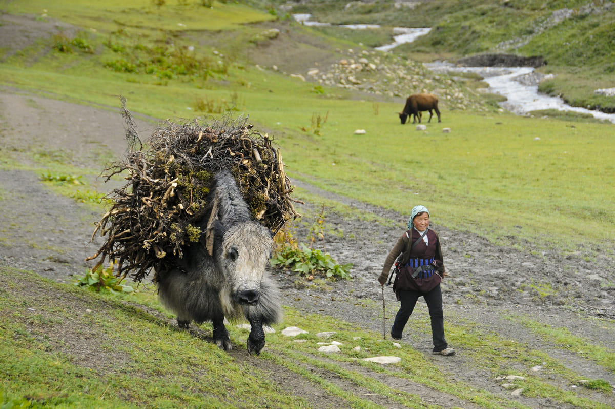 19 Days Mera Peak Climbing & Expedition – One Life-Changing Himalayan Adventure