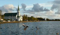 City Tour Reykjavík 2