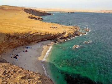 Half-Day Tour of Paracas National Reserve in Peru