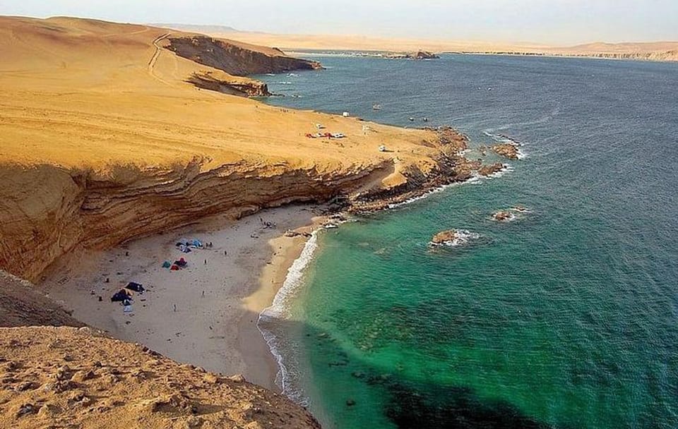 Paracas National Reserve Half Day Tour