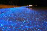 The glow from the boat engine