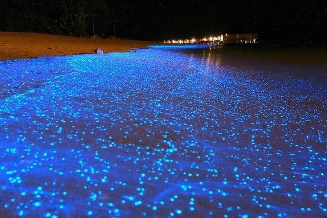 The glow from the boat engine