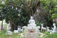 Da Nang: DA NANG HIGHLIGHTS AND NATURAL WONDERS FULL-DAY TOUR 7