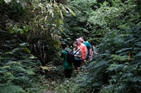 Mount Merapi: A Serene Soft Trek Through Botanic Villages Tour 6