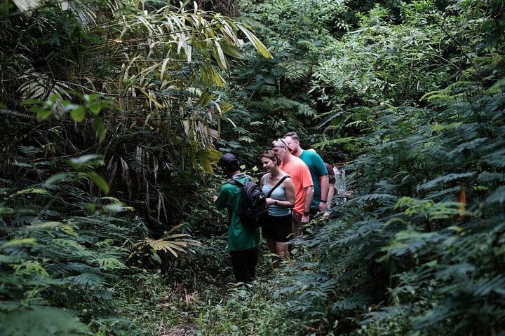 Mount Merapi: A Serene Soft Trek Through Botanic Villages Tour 6