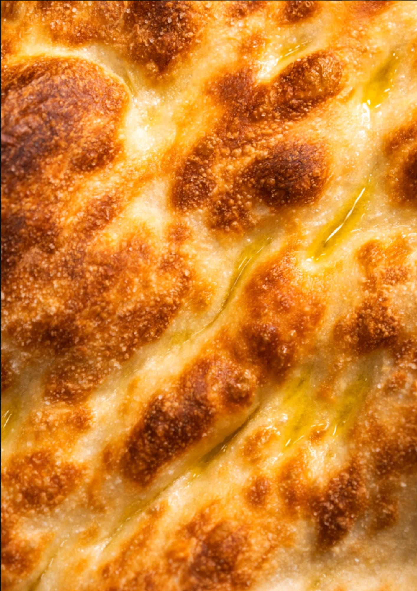 Close-up of golden Roman focaccia, crisp on the outside and brushed with olive oil — warm, simple, and irresistibly local.