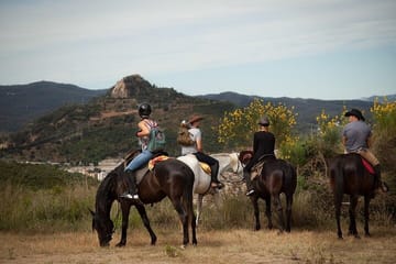 Antalya Horse Riding Experience
