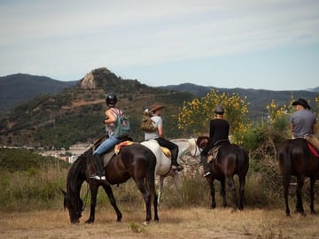 Antalya Horse Riding Experience