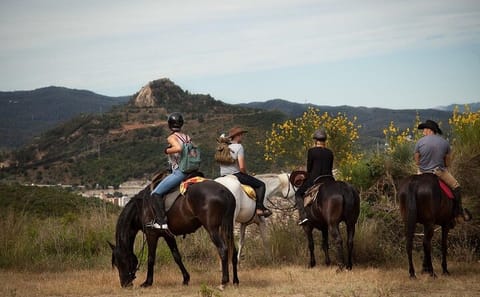 Horseback Riding Tour in Aksu's Scenic Nature Trails