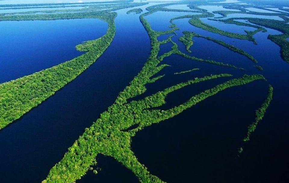 Amazon Jungle Trek and Anavilhanas Archipelago Tour in Manaus