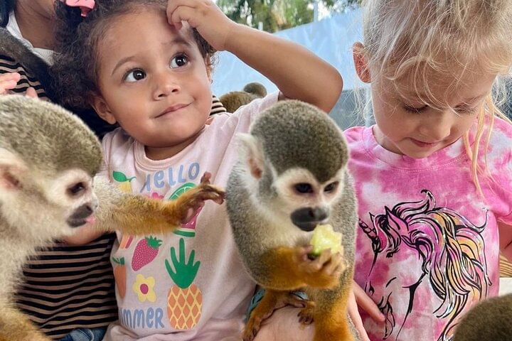 Damajagua Waterfalls and Monkey Private Van Tour