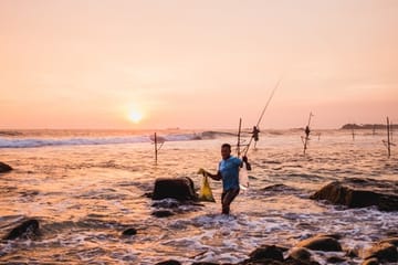 6-Day Cultural Tour of Colombo and Sri Lanka's Highlights