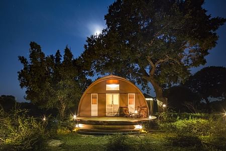 Luxury Glamping Experience in Yala National Park: Wildlife Adventure