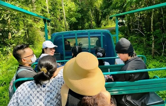 Cat Tien Day Trip from HCMC: Jungle Trek & Wildlife Safari