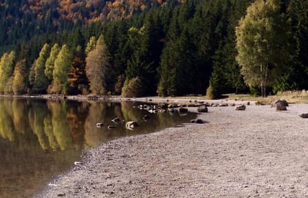 Small-Group Day Trip to the Volcanic Lake from Brașov