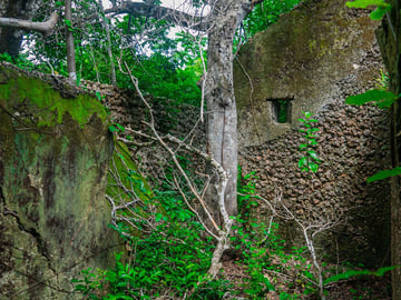 Historic Swahili ruins at Kua
