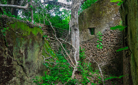 Kua Lagoon & Ruins Tour, Juani Island Mafia