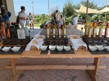 Culinary Tour of Wine, Raki, Olive Oil, and Honey in Heraklion