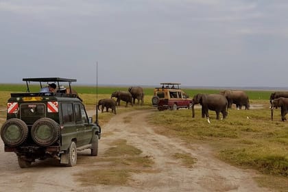 Amboseli National Park Day Tour