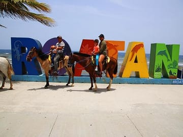 Horseback Riding and Beach Break in Flowers Bay, Roatán