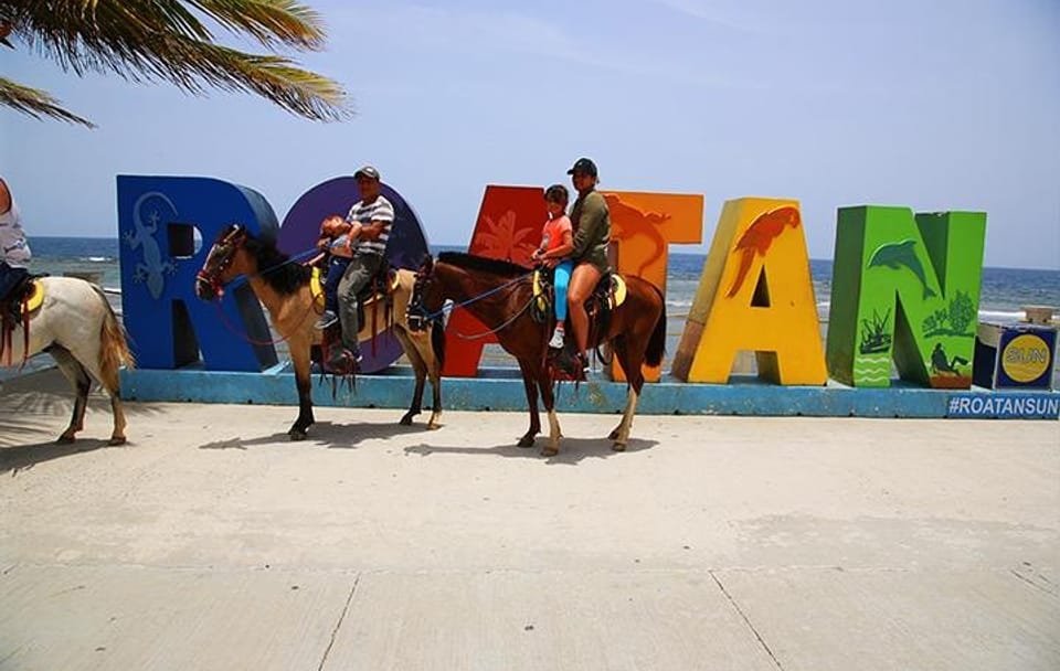 Horseback Riding and Beach Break in Flowers Bay, Roatán