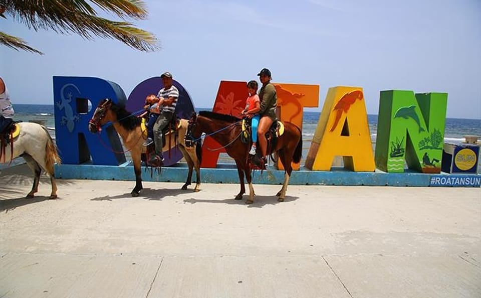 Horseback Riding and Beach Break in Flowers Bay, Roatán