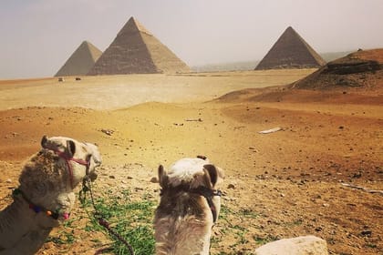 Private day tour Giza pyramids,camel ride,sphinx,Sakkara, Memphes