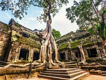 Prek Toal Birds Sanctuary & floating Village Private Tours from Siem Reap
