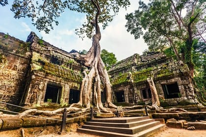 Angkor Wat, Ta Promh, Banteay Srei, Bayon temples Private Full Day Tour