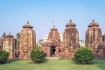 Bhubaneshwar and Bhitarkanika 5-Day Cultural and Wildlife Tour