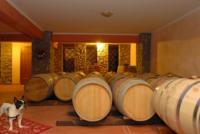 Meteora Food and Wine Private Tour from Kalambaka 6